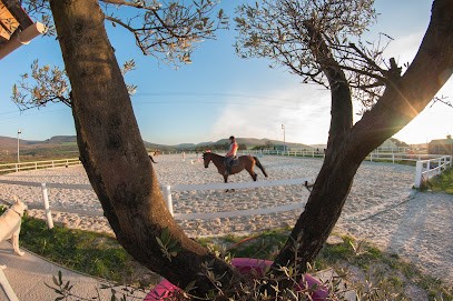 Ecurie De Fleurey, Centre Equestres à Fleurey-sur-Ouche