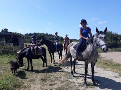 Equi Nature, Centre Equestres à Pleumeur-Bodou