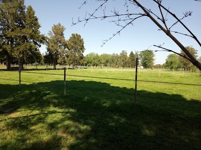 Piquemal Pastre Anais, Centre Equestres à Elne