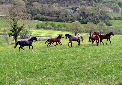 Écurie la Feuillée, Centre Equestres à Durfort-Lacapelette