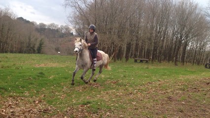 Equilibre, Centre Equestres à Nivillac