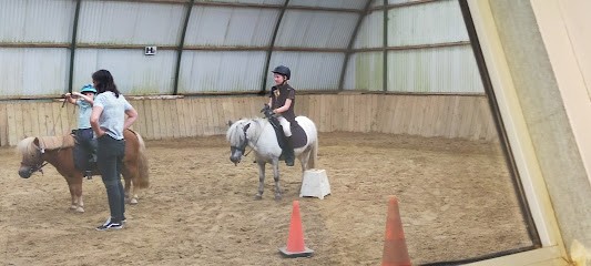 Les Ecuries Du Marais, Centre Equestres à Clairmarais