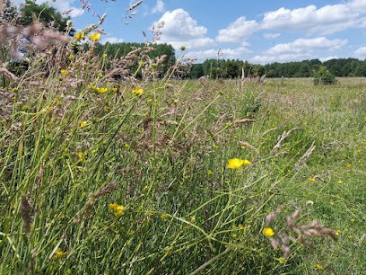 PONEY CLUB D ONS EN BRAY, Centre Equestres à Ons-en-Bray