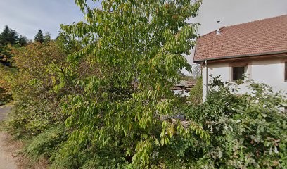 A.p.t.e.m, Centre Equestres à Pair-et-Grandrupt