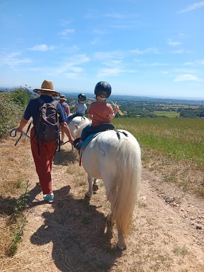POONS ET COMPAGNIE, Centre Equestres à Pollionnay