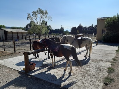 Elevage Du Faci, Centre Equestres à Mérindol