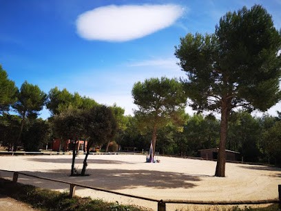 Edp Jump, Centre Equestres à Signes