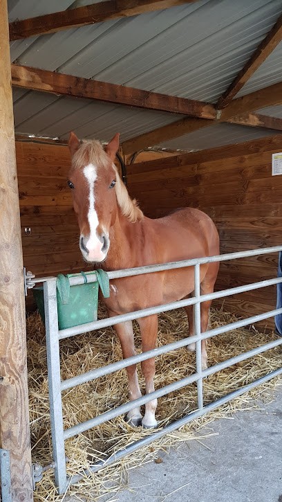 HARAS DU MÉLANTOIS | Centre Equestre Lille, Centre Equestres à Sainghin-en-Mélantois