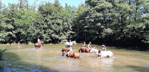 Cheval Vert Equitation, Centre Equestres à Molières-Cavaillac