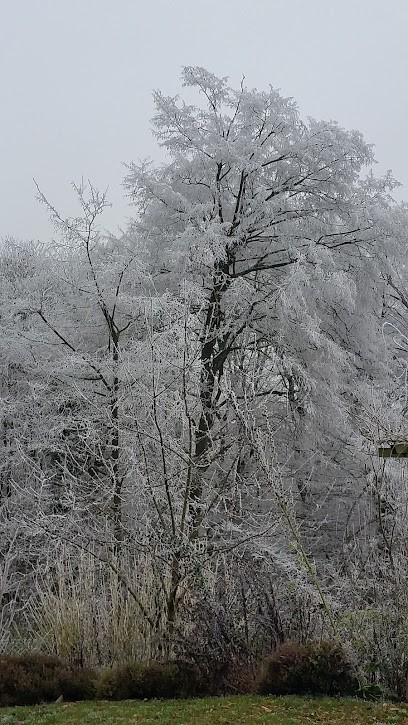 U.n.p.c.s. Union Nationale Des Propriétaires De Chevaux De Selle, Centre Equestres à Marcq