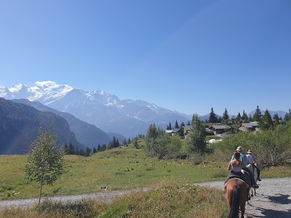 Les Écuries D'antan, Centre Equestres à Passy