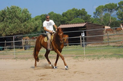 Stéphane Valette Equitation À Domicile, Centre Equestres à Sainte-Maxime