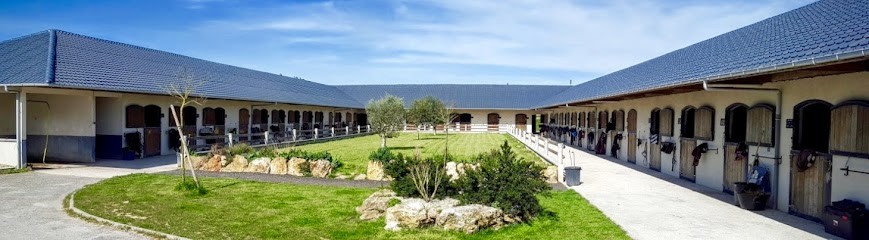 Stud D'eloge, Pension pour Chevaux aux Loges-en-Josas