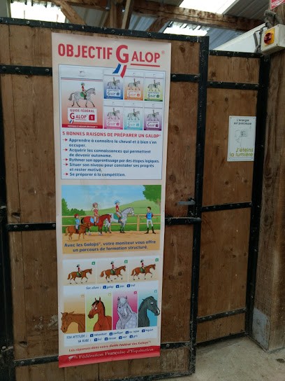 Aux Ecuries Des Anglonnières, Centre Equestres à Lion-en-Sullias