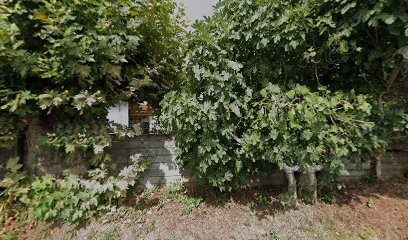 Pony Club Magic Pony, Centre Equestres à Saint-Martin-de-Seignanx