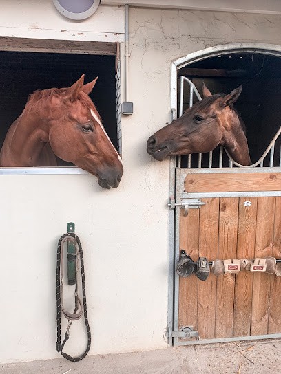 Stalls Pascal Henry, Centre Equestres à La Neuville-en-Hez