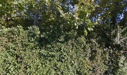 La Beauvezette, Pension pour Chevaux à Lamanon