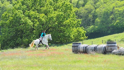 Floriane Vailleau Equestrian Center Le Sapajou, Centre Equestres à Saint-Pierre-de-Varennes