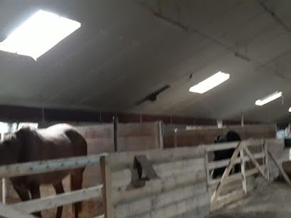 Centre de soins et santé équine Menez Aré, Pension pour Chevaux à Commana