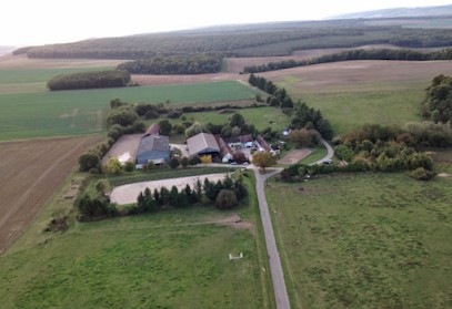 Equestrian Center De Galbaux, Centre Equestres à Voisines