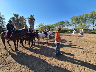 Poneys Club, Centre Equestres à La Garde