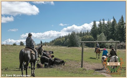 Oosting-HorseRiding, Centre Equestres à Lacrouzette