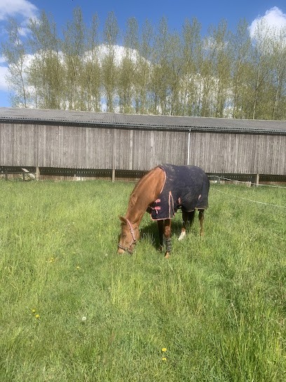 ECURIES DE LA CROIX ST NICOLAS, Centre Equestres à Vieille-Chapelle