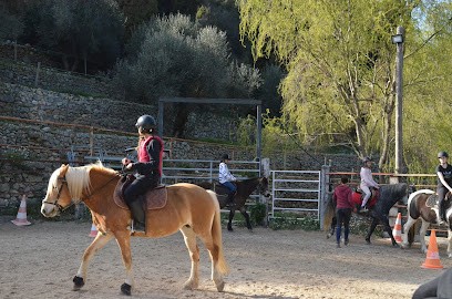 Les Poneys Du Petit Bois, Centre Equestres à Levens