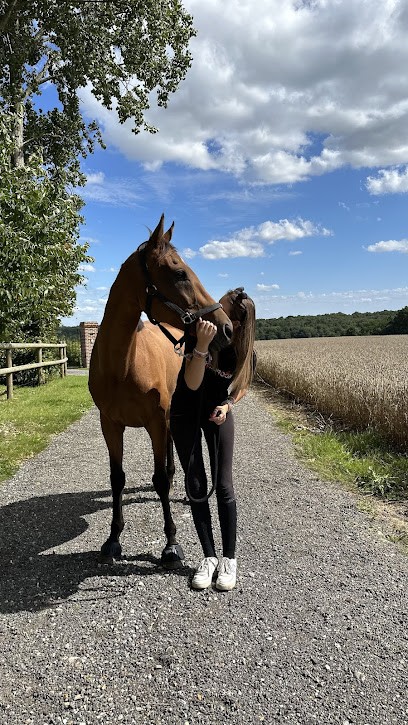 LES ECURIES DE PRINCE, Centre Equestres à Fontaine-le-Bourg