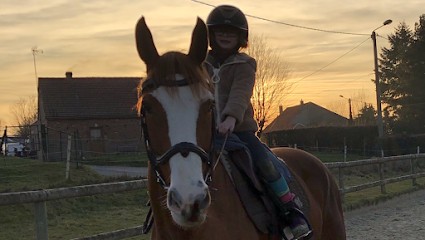 Les Écuries Du Val, Centre Equestres à Colleret