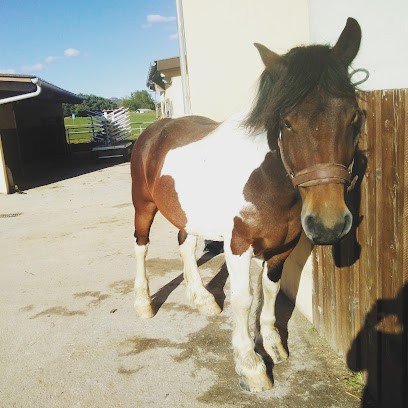 SCEA LES ECURIES DE BOTILLY, Centre Equestres à Chilly