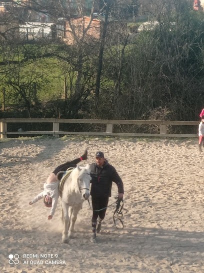 Nouvel Etrier Panisserois, Centre Equestres à Panissières