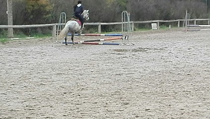 Equestrian Center / Pony Club Forge, Centre Equestres au Vernet
