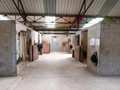 Ecuries du Chemin de Frénois, Pension pour Chevaux à Wadelincourt