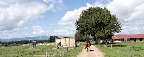 Ecurie Elevage de Boyer | Roanne / Nandax, Centre Equestres à Nandax