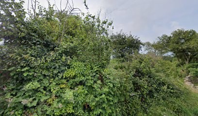 Pension élevage Royal - chevaux de sport, Centre Equestres à Pierreville