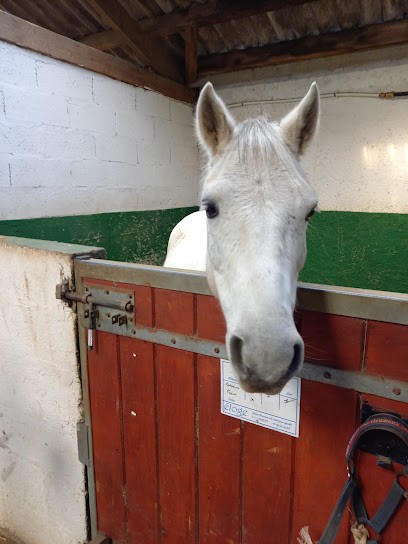 Sté Hippique La Gourmette, Centre Equestres à Sautron
