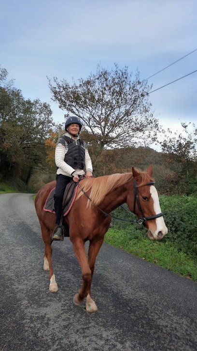 Balade Arrosa, Centre Equestres à Ilharre
