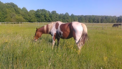 Fg Ranch, Pension pour Chevaux à Menetou-Salon
