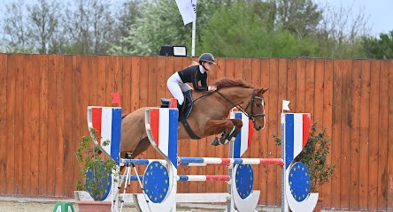 Ecuries De Vicou, Centre Equestres à Saint-Mars-sur-Colmont