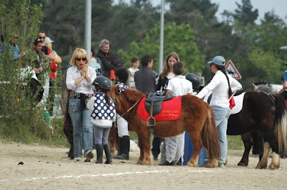 Centre Equestre De Peyriac De Mer & Pensions Canine, Centre Equestres à Peyriac-de-Mer
