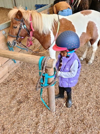 PONEY LORMONTAIS, Centre Equestres à Lormont