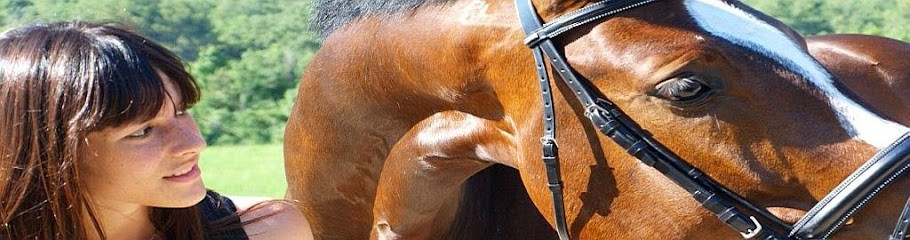SLS Sellerie En Ligne, Magasin de Matériel d'Equitation à Trets