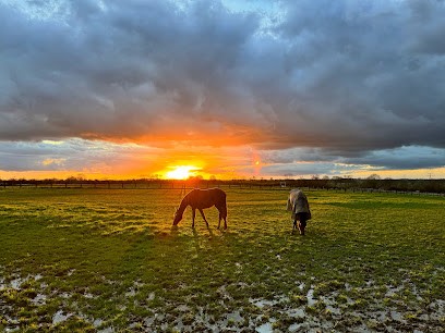Haras Saint Roch, Pension pour Chevaux à Ruillé-Froid-Fonds