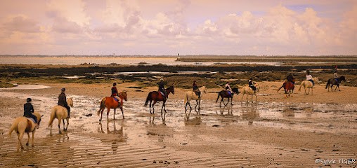 Pelamer Riding, Centre Equestres au Croisic