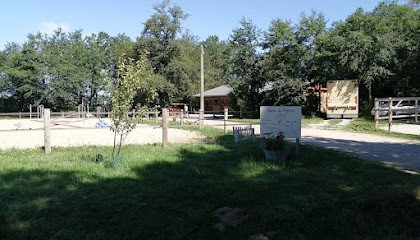 Haras Du Peyroux, Pension pour Chevaux à Roche-le-Peyroux