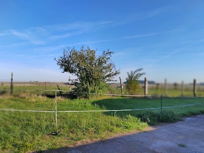Ecuries de l'arc en ciel, Pension pour Chevaux à Fresnoy-en-Gohelle