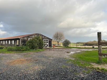 Les Ecuries Du Lys, Emmanuelle Boutin, Centre Equestres à Saint-Julien-l'Ars