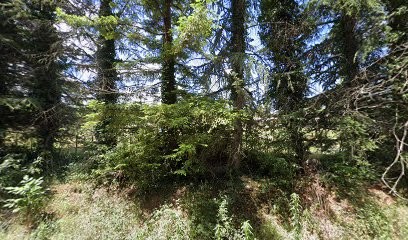Les-Ecuries-d'Athéna, Pension pour Chevaux à Uchaud