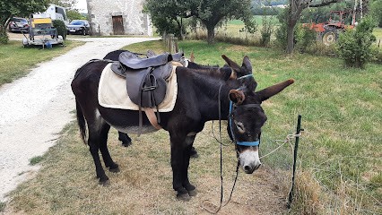 Asinerie de Pinseguerre, Centre Equestres à Douzains